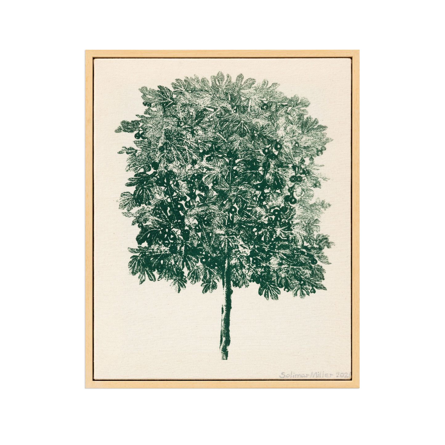 Green Fig I