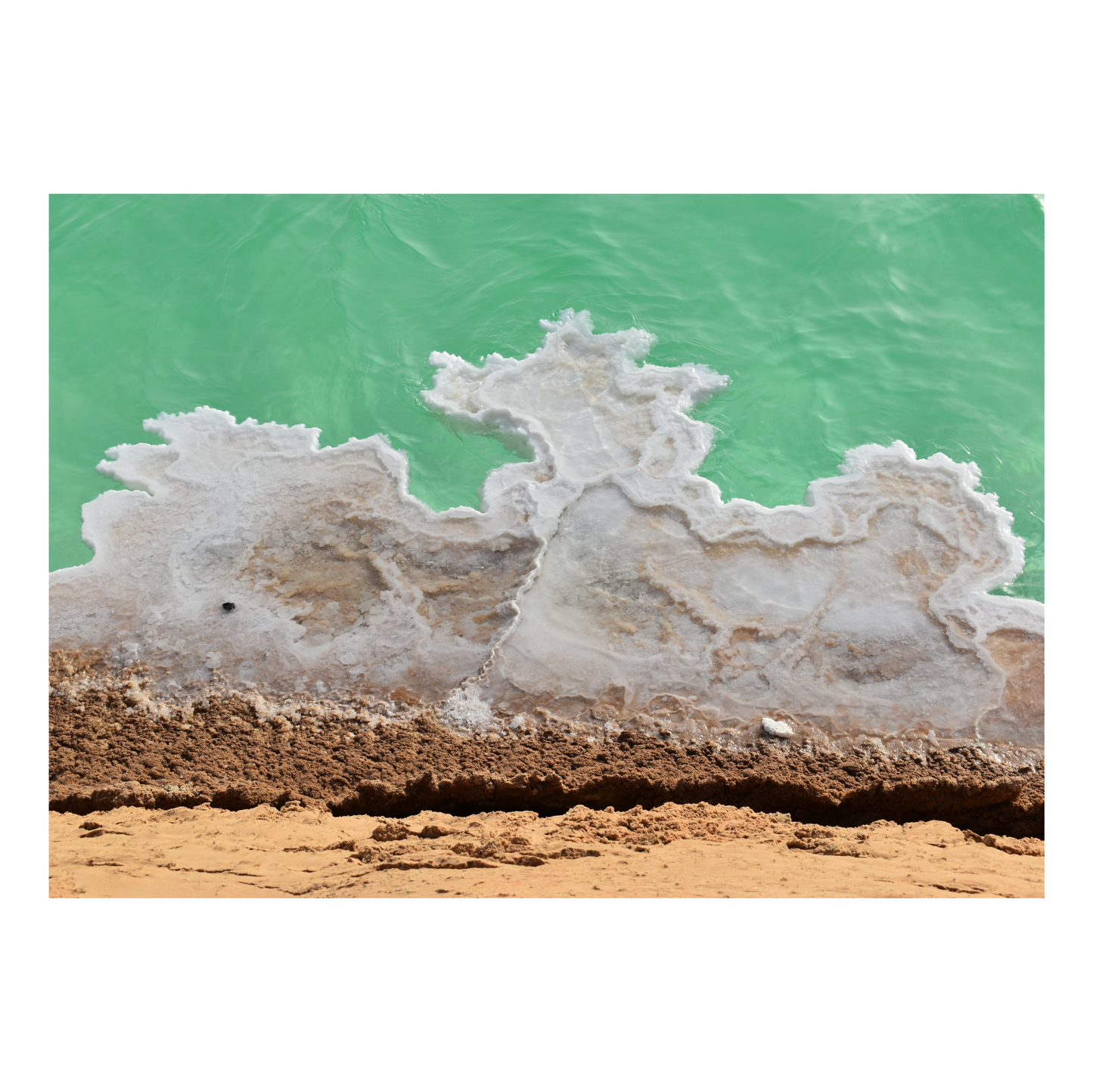 Of Earth, Water & Salt